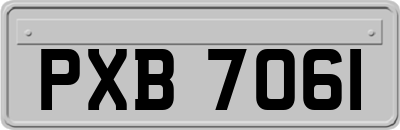 PXB7061