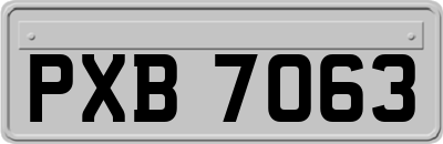 PXB7063