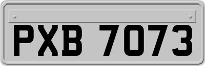 PXB7073