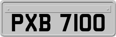 PXB7100