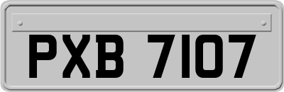 PXB7107