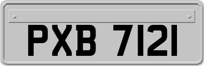 PXB7121