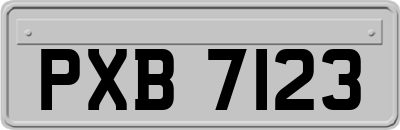 PXB7123