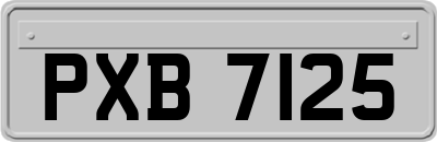 PXB7125