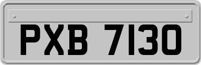 PXB7130