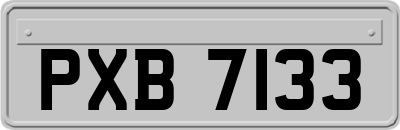 PXB7133