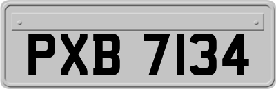 PXB7134