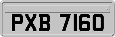 PXB7160