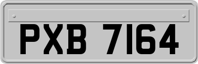 PXB7164