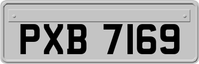 PXB7169