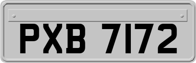 PXB7172