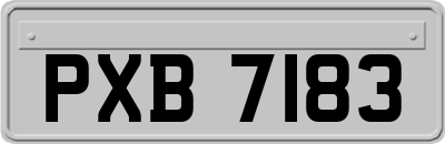 PXB7183