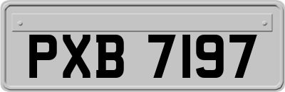 PXB7197