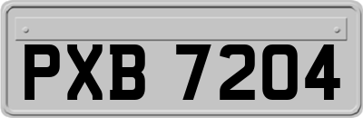 PXB7204