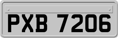 PXB7206