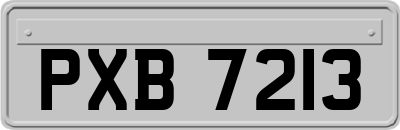 PXB7213