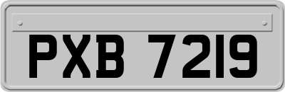 PXB7219