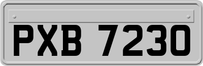 PXB7230