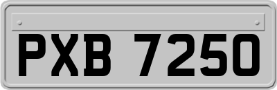 PXB7250