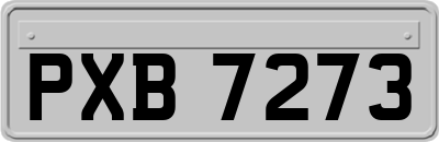 PXB7273