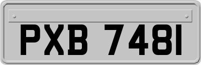 PXB7481