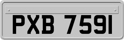 PXB7591