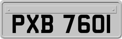 PXB7601