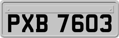 PXB7603