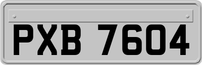 PXB7604