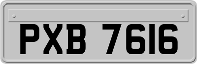 PXB7616