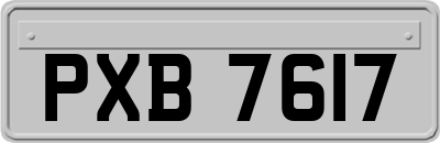 PXB7617