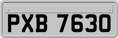 PXB7630