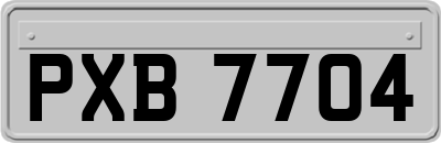 PXB7704