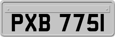 PXB7751