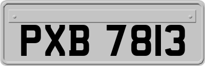 PXB7813