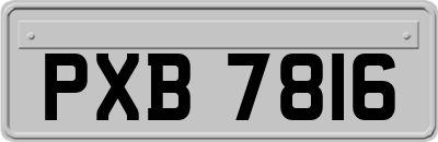 PXB7816