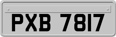 PXB7817