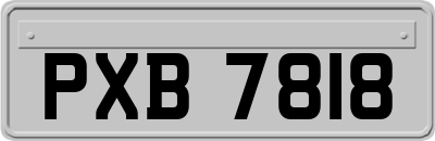 PXB7818