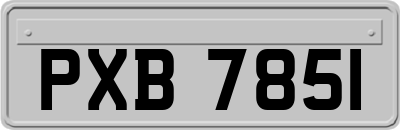 PXB7851