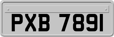 PXB7891