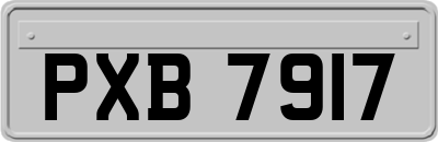 PXB7917