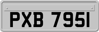 PXB7951