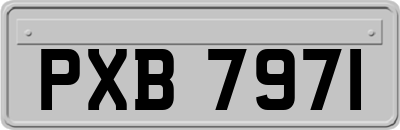 PXB7971