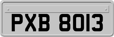 PXB8013