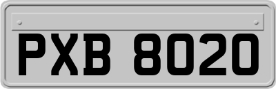 PXB8020