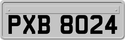 PXB8024