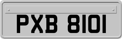 PXB8101