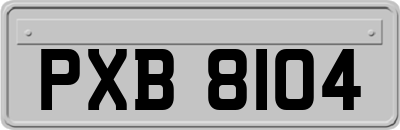 PXB8104