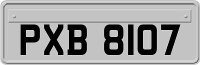 PXB8107