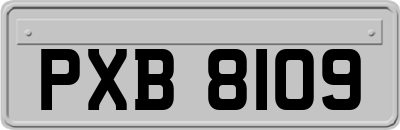 PXB8109